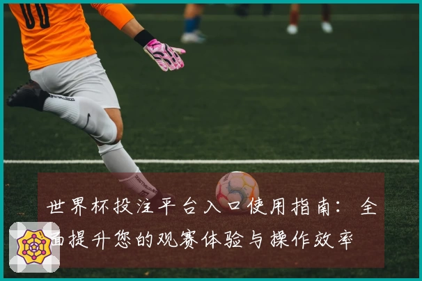 世界杯投注平台入口使用指南：全面提升您的观赛体验与操作效率